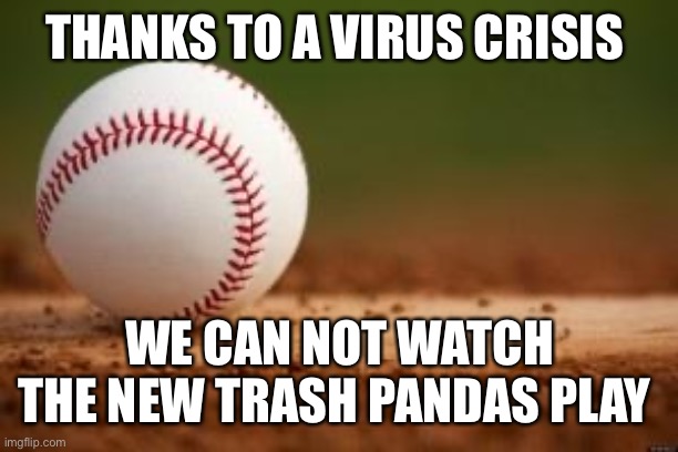 Baseball | THANKS TO A VIRUS CRISIS; WE CAN NOT WATCH THE NEW TRASH PANDAS PLAY | image tagged in baseball | made w/ Imgflip meme maker
