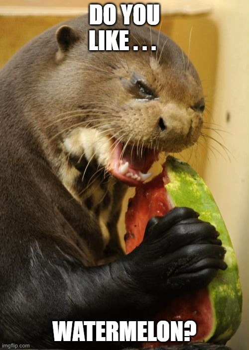 Self Loathing Otter Meme |  DO YOU LIKE . . . WATERMELON? | image tagged in memes,self loathing otter | made w/ Imgflip meme maker