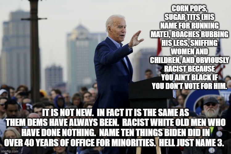 Racism always comes out when you let it. | CORN POPS, SUGAR TITS (HIS NAME FOR RUNNING MATE), ROACHES RUBBING HIS LEGS, SNIFFING WOMEN AND CHILDREN, AND OBVIOUSLY RACIST BECAUSE YOU AIN'T BLACK IF YOU DON'T VOTE FOR HIM. IT IS NOT NEW.  IN FACT IT IS THE SAME AS THEM DEMS HAVE ALWAYS BEEN.  RACIST WHITE OLD MEN WHO HAVE DONE NOTHING.  NAME TEN THINGS BIDEN DID IN OVER 40 YEARS OF OFFICE FOR MINORITIES.  HELL JUST NAME 3. | image tagged in joe biden,sniff | made w/ Imgflip meme maker