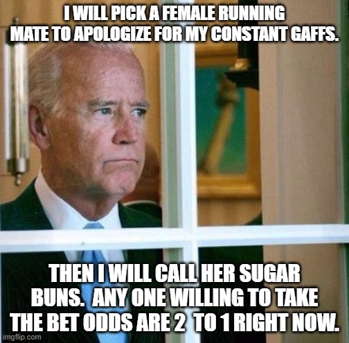 Sugar Buns Biden | I WILL PICK A FEMALE RUNNING MATE TO APOLOGIZE FOR MY CONSTANT GAFFS. THEN I WILL CALL HER SUGAR BUNS.  ANY ONE WILLING TO TAKE THE BET ODDS ARE 2  TO 1 RIGHT NOW. | image tagged in sad joe biden | made w/ Imgflip meme maker