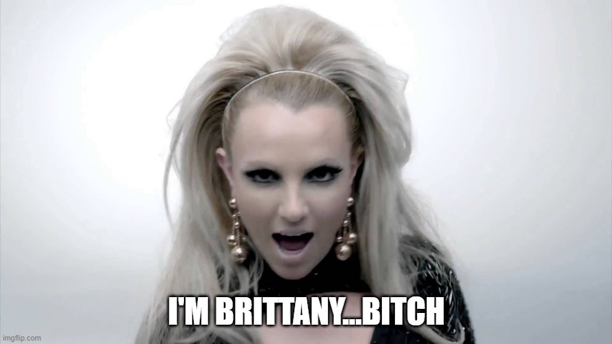 Scream and Shout | I'M BRITTANY...BITCH | image tagged in music video | made w/ Imgflip meme maker