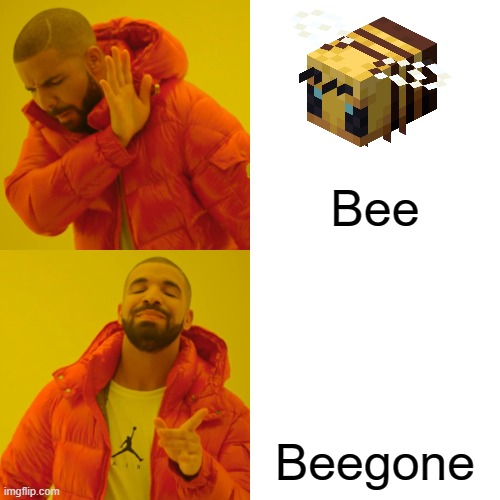Drake Hotline Bling | Bee; Beegone | image tagged in memes,drake hotline bling | made w/ Imgflip meme maker