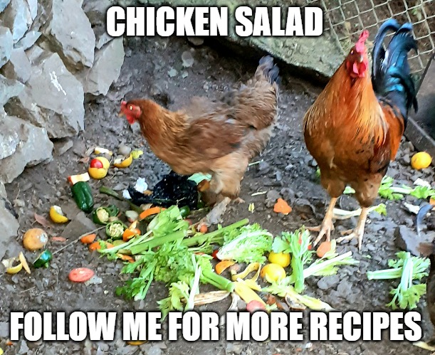 Chicken Salad | CHICKEN SALAD; FOLLOW ME FOR MORE RECIPES | image tagged in chicken salad | made w/ Imgflip meme maker
