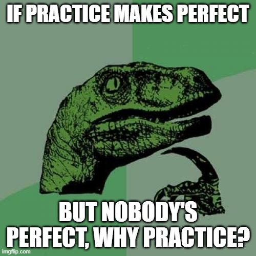 Philosoraptor | IF PRACTICE MAKES PERFECT; BUT NOBODY'S PERFECT, WHY PRACTICE? | image tagged in memes,philosoraptor | made w/ Imgflip meme maker