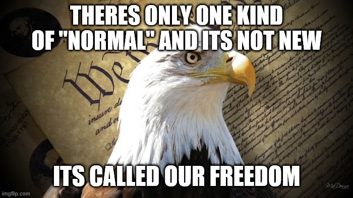 THERES ONLY ONE KIND OF "NORMAL" AND ITS NOT NEW; ITS CALLED OUR FREEDOM | image tagged in covid-19,covid19,lockdown,maga,freedom | made w/ Imgflip meme maker