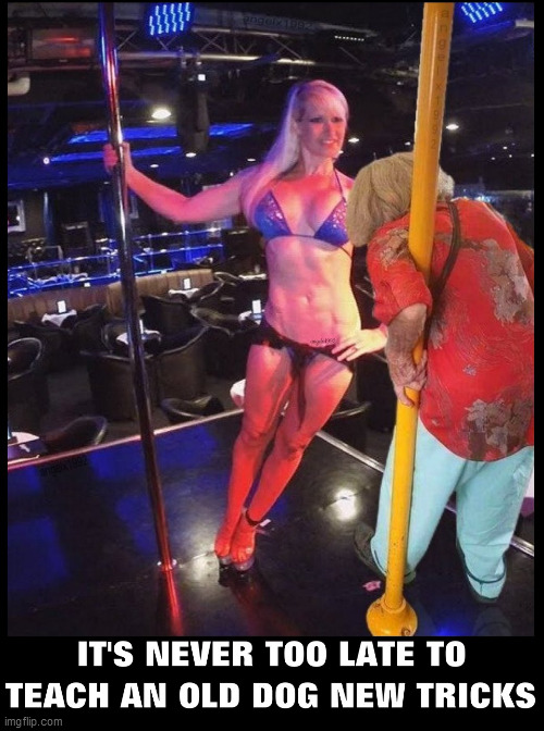 old dog - new tricks | image tagged in old lady,stripper,stripper pole,strippers,old woman,club | made w/ Imgflip meme maker