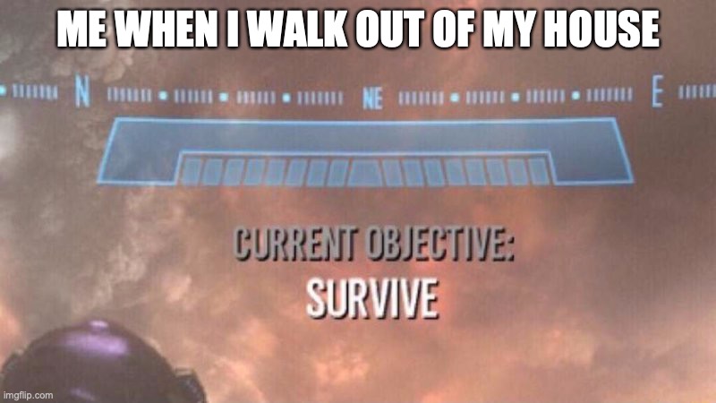Current Objective: Survive | ME WHEN I WALK OUT OF MY HOUSE | image tagged in current objective survive | made w/ Imgflip meme maker