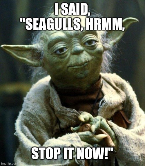 Star Wars Yoda Meme | I SAID, "SEAGULLS, HRMM, STOP IT NOW!" | image tagged in memes,star wars yoda | made w/ Imgflip meme maker