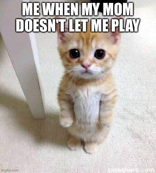Cute Cat Meme | ME WHEN MY MOM DOESN'T LET ME PLAY | image tagged in memes,cute cat | made w/ Imgflip meme maker