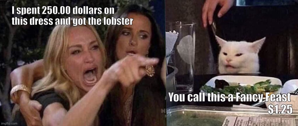 woman yelling at cat |  I spent 250.00 dollars on this dress and got the lobster; You call this a Fancy Feast 
           $1.25 | image tagged in woman yelling at cat | made w/ Imgflip meme maker