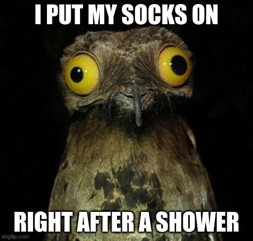 sock after shower | I PUT MY SOCKS ON; RIGHT AFTER A SHOWER | image tagged in weird stuff i do pootoo | made w/ Imgflip meme maker