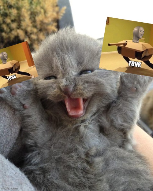 Yay Kitty | image tagged in yay kitty | made w/ Imgflip meme maker