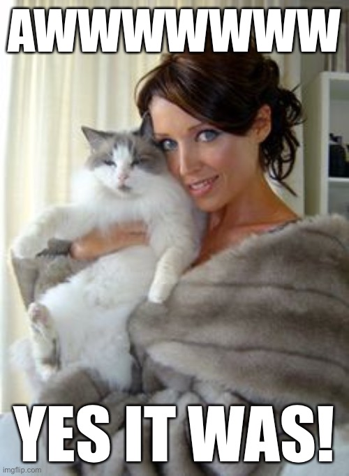 Dannii cat | AWWWWWWW YES IT WAS! | image tagged in dannii cat | made w/ Imgflip meme maker