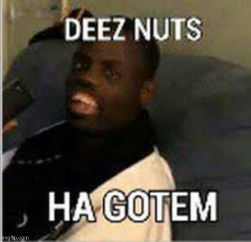 image tagged in deez nuts | made w/ Imgflip meme maker