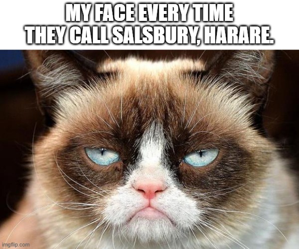 Grumpy Cat Not Amused | MY FACE EVERY TIME THEY CALL SALSBURY, HARARE. | image tagged in memes,grumpy cat not amused,grumpy cat | made w/ Imgflip meme maker