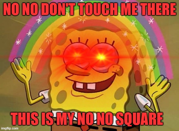 No No Square | NO NO DON'T TOUCH ME THERE; THIS IS MY NO NO SQUARE | image tagged in imagination spongebob | made w/ Imgflip meme maker