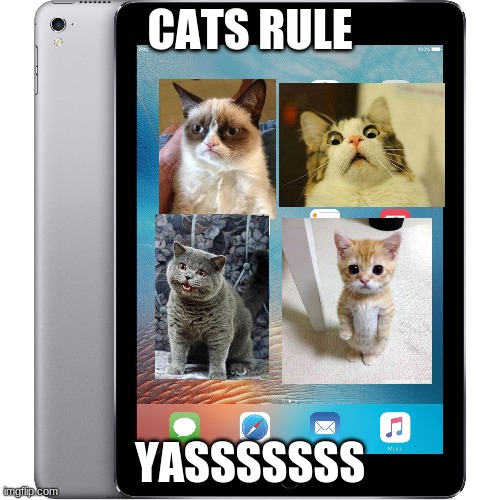 ipad | CATS RULE; YASSSSSSS | image tagged in ipad | made w/ Imgflip meme maker