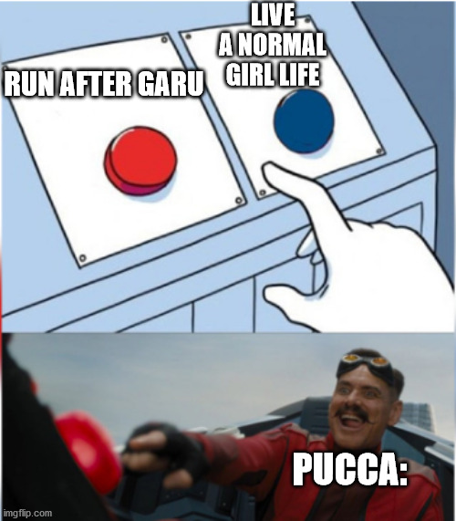 Robotnik Pressing Red Button | LIVE A NORMAL GIRL LIFE; RUN AFTER GARU; PUCCA: | image tagged in robotnik pressing red button | made w/ Imgflip meme maker