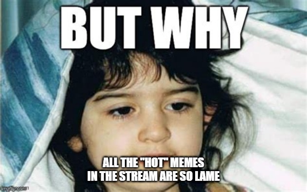 lame memes | ALL THE "HOT" MEMES IN THE STREAM ARE SO LAME | image tagged in lame,hot | made w/ Imgflip meme maker