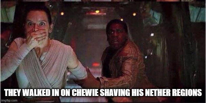 Gotta Shave Em | THEY WALKED IN ON CHEWIE SHAVING HIS NETHER REGIONS | image tagged in finn and rey star wars | made w/ Imgflip meme maker