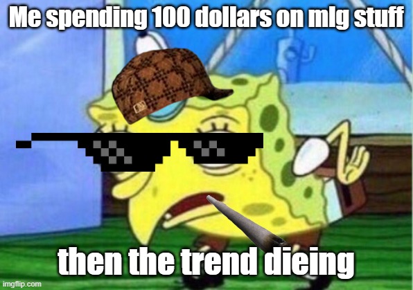 Mocking Spongebob | Me spending 100 dollars on mlg stuff; then the trend dieing | image tagged in memes,mocking spongebob | made w/ Imgflip meme maker