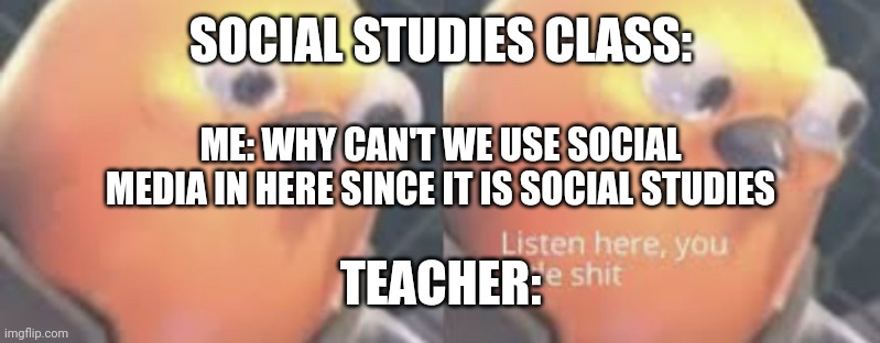 Listen here you little shit bird | SOCIAL STUDIES CLASS:; ME: WHY CAN'T WE USE SOCIAL MEDIA IN HERE SINCE IT IS SOCIAL STUDIES; TEACHER: | image tagged in listen here you little shit bird | made w/ Imgflip meme maker