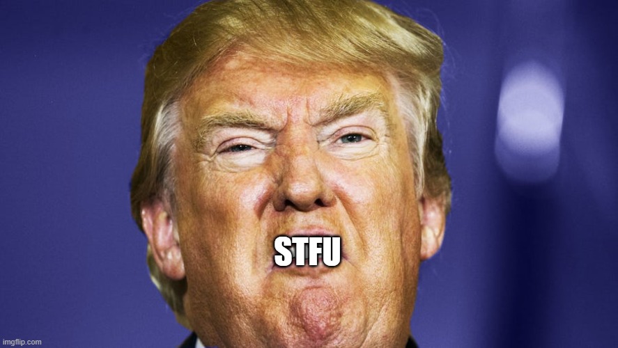STOP YOUR ILLEGAL THREATS TO STATES! | STFU | image tagged in donald trump is an idiot | made w/ Imgflip meme maker