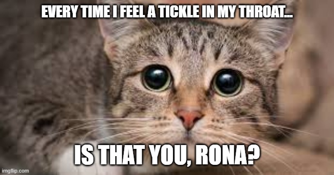 Is that you, Rona? | EVERY TIME I FEEL A TICKLE IN MY THROAT... IS THAT YOU, RONA? | image tagged in coronavirus | made w/ Imgflip meme maker