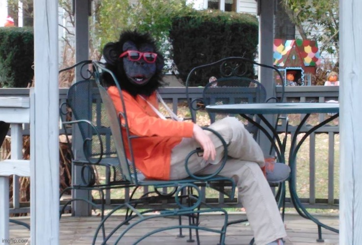 handsome gorilla | image tagged in handsome gorilla | made w/ Imgflip meme maker