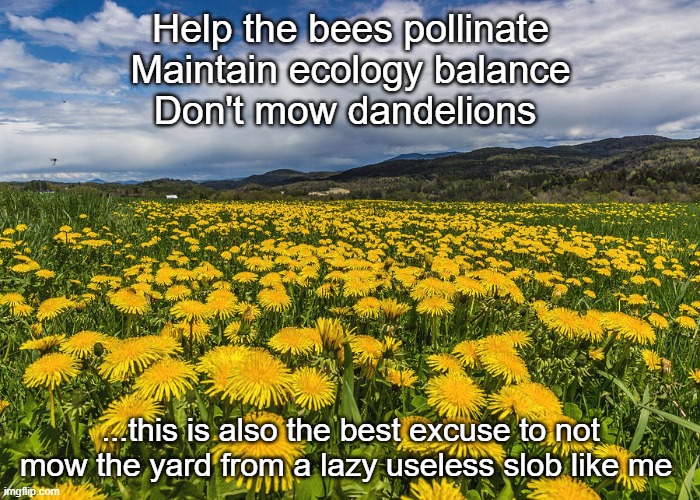 Eco-friendly lazy | Help the bees pollinate
Maintain ecology balance
Don't mow dandelions; ...this is also the best excuse to not mow the yard from a lazy useless slob like me | image tagged in mowing | made w/ Imgflip meme maker