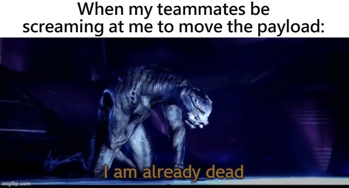 When my teammates be screaming at me to move the payload:; I am already dead | image tagged in overwatch,halo | made w/ Imgflip meme maker