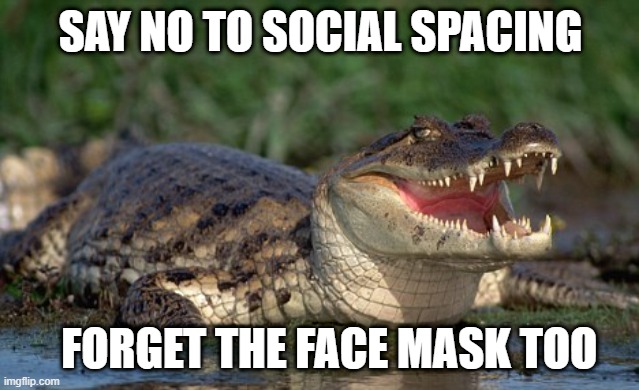 Alligator | SAY NO TO SOCIAL SPACING; FORGET THE FACE MASK TOO | image tagged in alligator | made w/ Imgflip meme maker