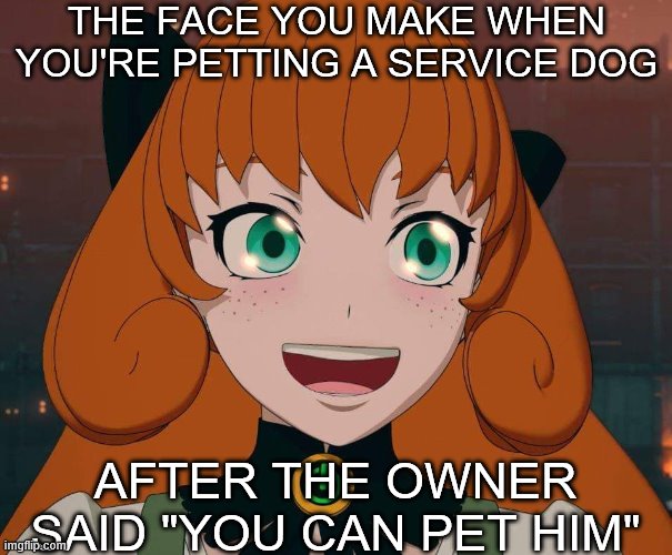 RWBY MEME | THE FACE YOU MAKE WHEN YOU'RE PETTING A SERVICE DOG; AFTER THE OWNER SAID "YOU CAN PET HIM" | image tagged in penny rwby,rwby | made w/ Imgflip meme maker