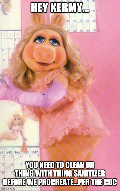 Miss Piggy | HEY KERMY... YOU NEED TO CLEAN UR THING WITH THING SANITIZER BEFORE WE PROCREATE...PER THE CDC | image tagged in miss piggy | made w/ Imgflip meme maker