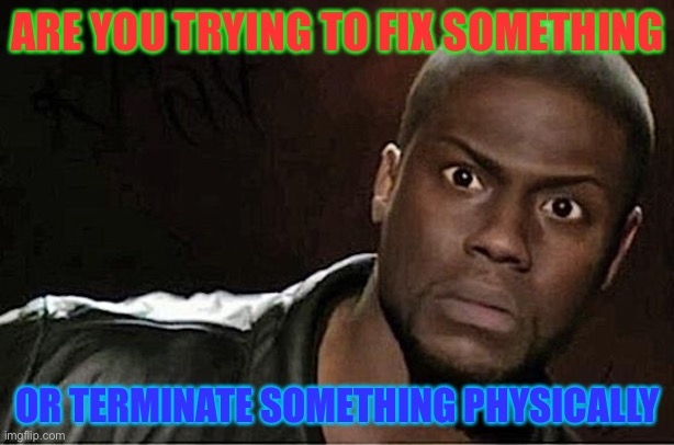 Kevin Hart Meme | ARE YOU TRYING TO FIX SOMETHING OR TERMINATE SOMETHING PHYSICALLY | image tagged in memes,kevin hart | made w/ Imgflip meme maker