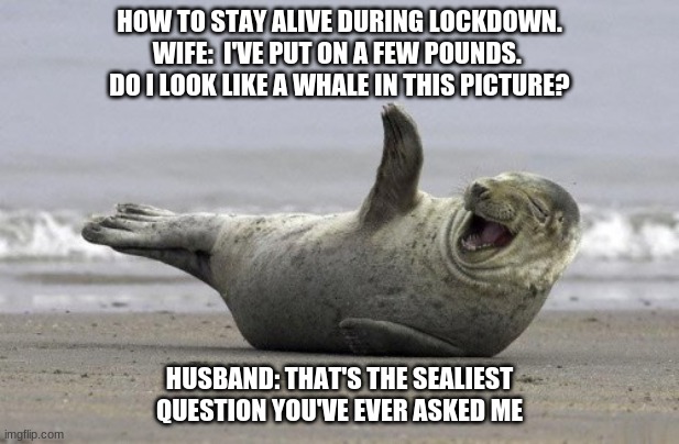 HOW TO STAY ALIVE DURING LOCKDOWN.
WIFE:  I'VE PUT ON A FEW POUNDS. 
DO I LOOK LIKE A WHALE IN THIS PICTURE? HUSBAND: THAT'S THE SEALIEST QUESTION YOU'VE EVER ASKED ME | image tagged in memes,lockdown,covid-19,funny meme,bad pun | made w/ Imgflip meme maker