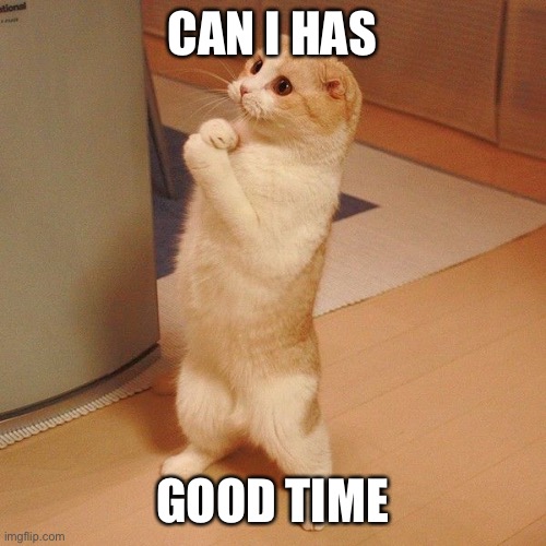 pleaz moar cat | CAN I HAS GOOD TIME | image tagged in pleaz moar cat | made w/ Imgflip meme maker