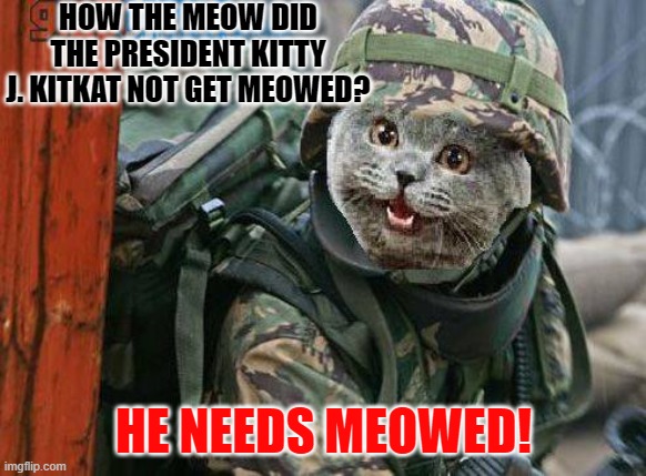 cringe.kitty the army is coming…