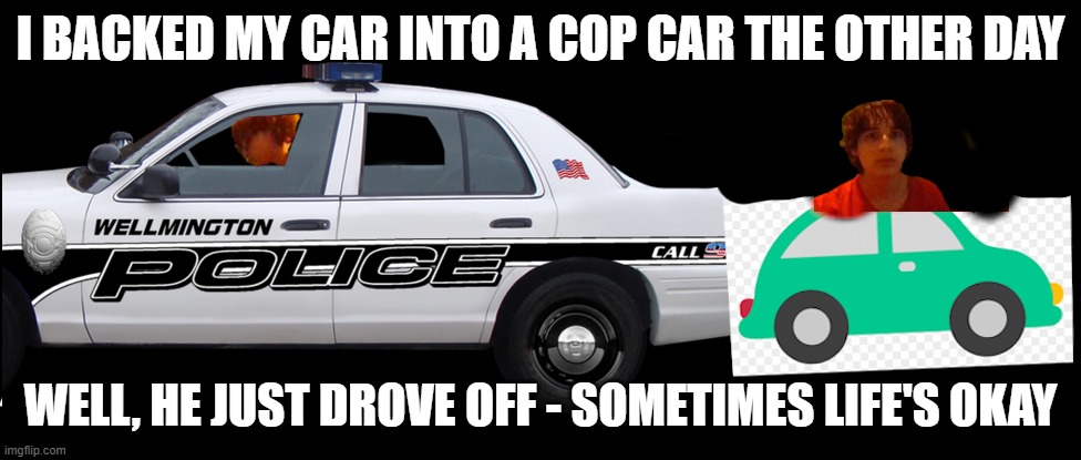 the other dya | I BACKED MY CAR INTO A COP CAR THE OTHER DAY; WELL, HE JUST DROVE OFF - SOMETIMES LIFE'S OKAY | image tagged in meme,moddest mouse | made w/ Imgflip meme maker