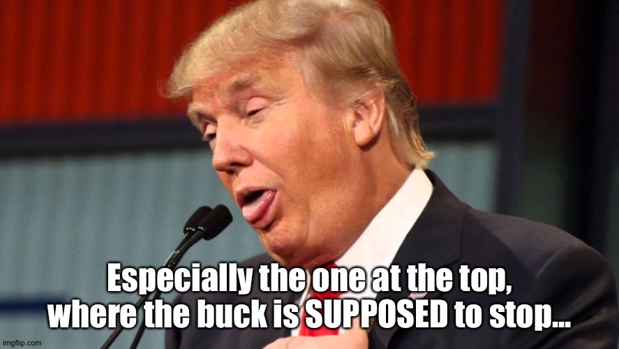 Stupid trump | Especially the one at the top,
where the buck is SUPPOSED to stop... | image tagged in stupid trump | made w/ Imgflip meme maker