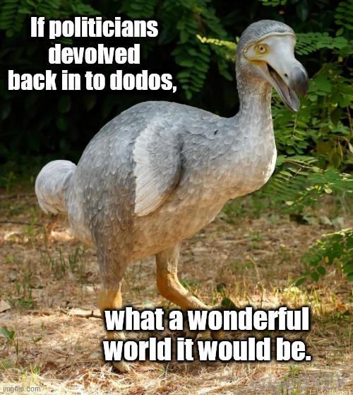 If politicians devolved back in to dodos, what a wonderful world it would be. | image tagged in evolution,dodos,politicians | made w/ Imgflip meme maker