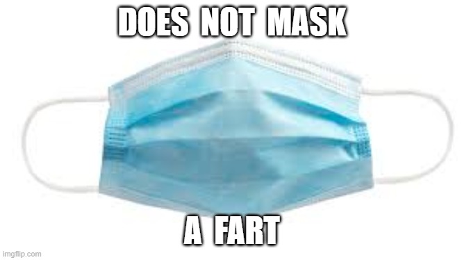 DOES  NOT  MASK; A  FART | image tagged in coronavirus,covid19,face mask,plandemic | made w/ Imgflip meme maker