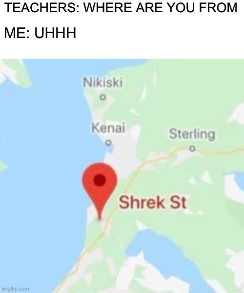 That one reason I never get personal in class | TEACHERS: WHERE ARE YOU FROM; ME: UHHH | image tagged in memes,funny,shrek,shrekt | made w/ Imgflip meme maker