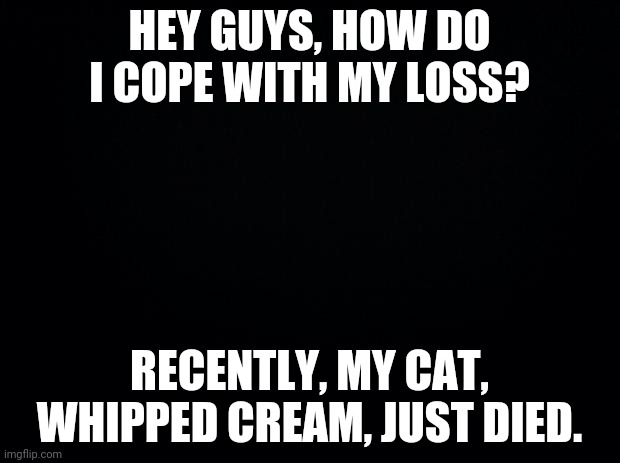 Black background | HEY GUYS, HOW DO I COPE WITH MY LOSS? RECENTLY, MY CAT, WHIPPED CREAM, JUST DIED. | image tagged in black background | made w/ Imgflip meme maker