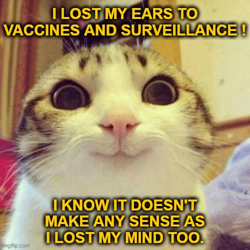 I lost my... | I LOST MY EARS TO
VACCINES AND SURVEILLANCE ! I KNOW IT DOESN'T
MAKE ANY SENSE AS
I LOST MY MIND TOO. | image tagged in memes,smiling cat | made w/ Imgflip meme maker