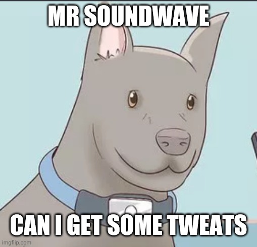 Pleading ravage | MR SOUNDWAVE; CAN I GET SOME TWEATS | image tagged in ravage | made w/ Imgflip meme maker