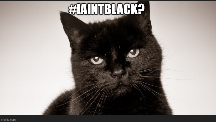 You ain’t black | #IAINTBLACK? | image tagged in black cat | made w/ Imgflip meme maker