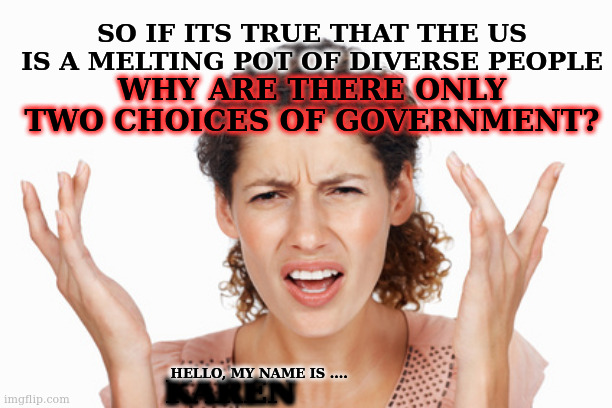 .... Because some people think there are only two colours, white and everything else | SO IF ITS TRUE THAT THE US IS A MELTING POT OF DIVERSE PEOPLE; WHY ARE THERE ONLY TWO CHOICES OF GOVERNMENT? HELLO, MY NAME IS .... KAREN | image tagged in indignant | made w/ Imgflip meme maker
