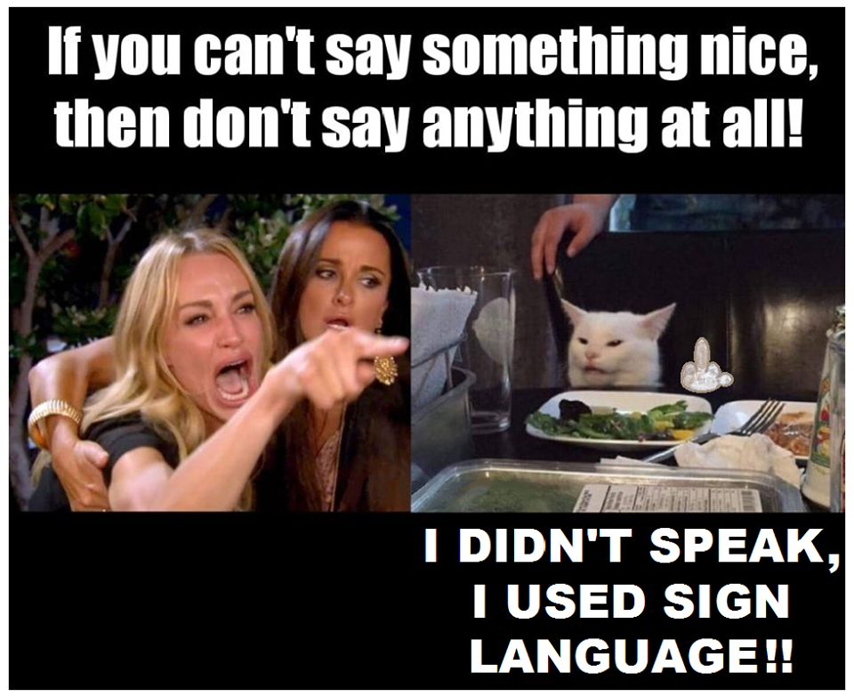 High Quality mad lady and cat sign language Blank Meme Template