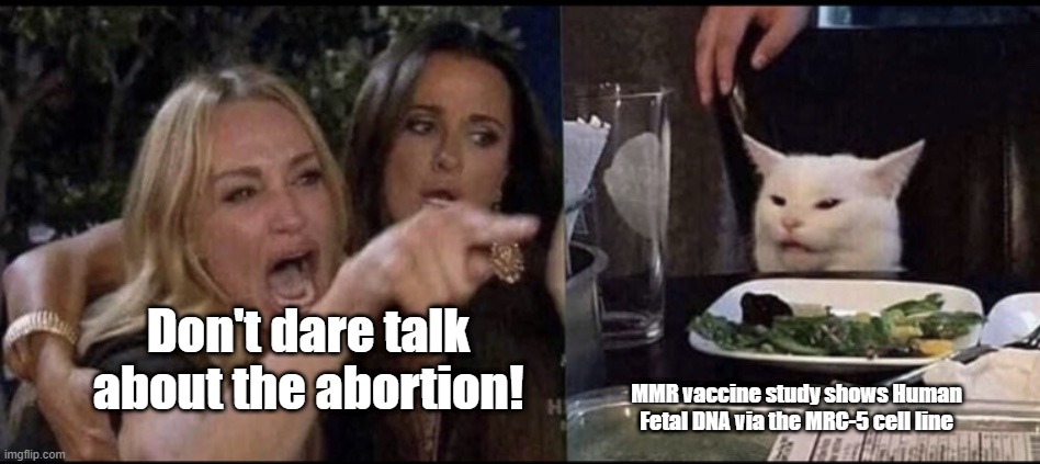 Don't you dare | Don't dare talk about the abortion! MMR vaccine study shows Human Fetal DNA via the MRC-5 cell line | image tagged in karen carpenter and smudge cat | made w/ Imgflip meme maker